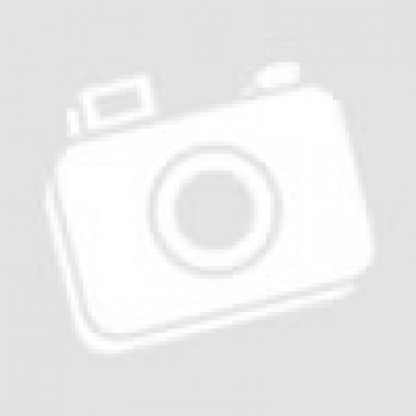 Регулятор тиску газа Pietro Fiorentini Dival SDQ 1 MP Регулятор тиску газа Pietro Fiorentini Dival SDQ 1 MP
